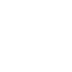 x-01 x-01